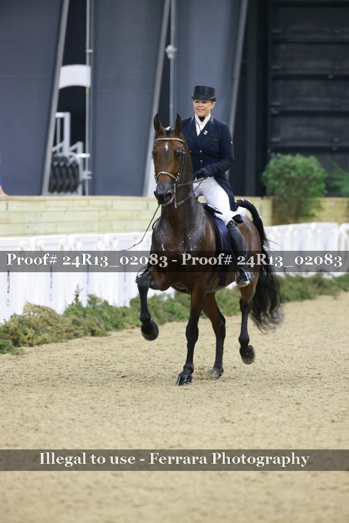 Proof 24R13_02083