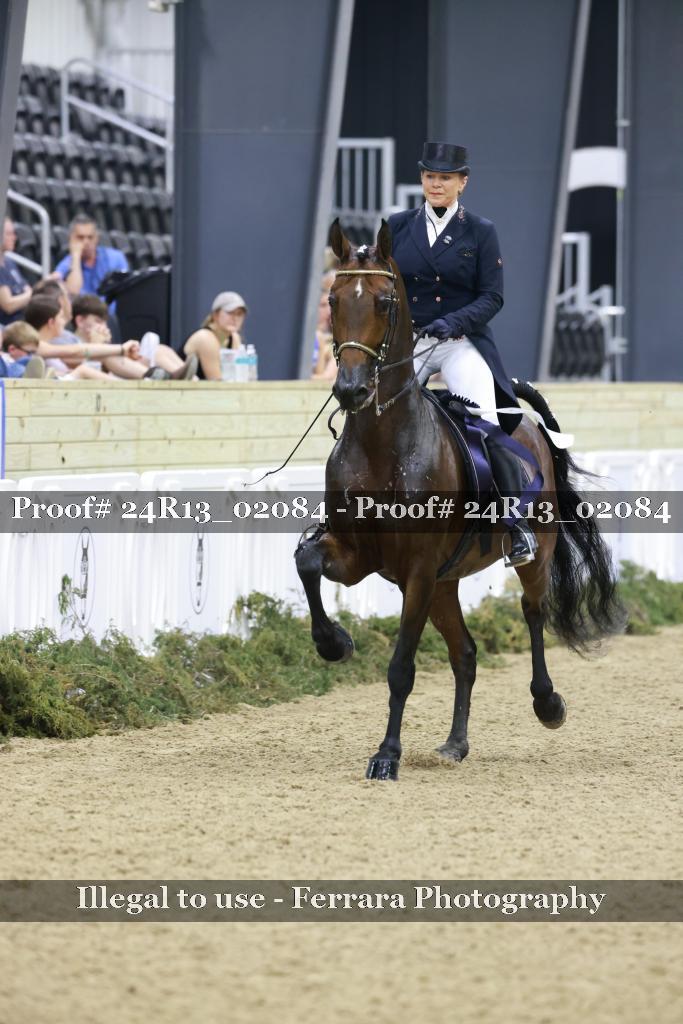 Proof 24R13_02084