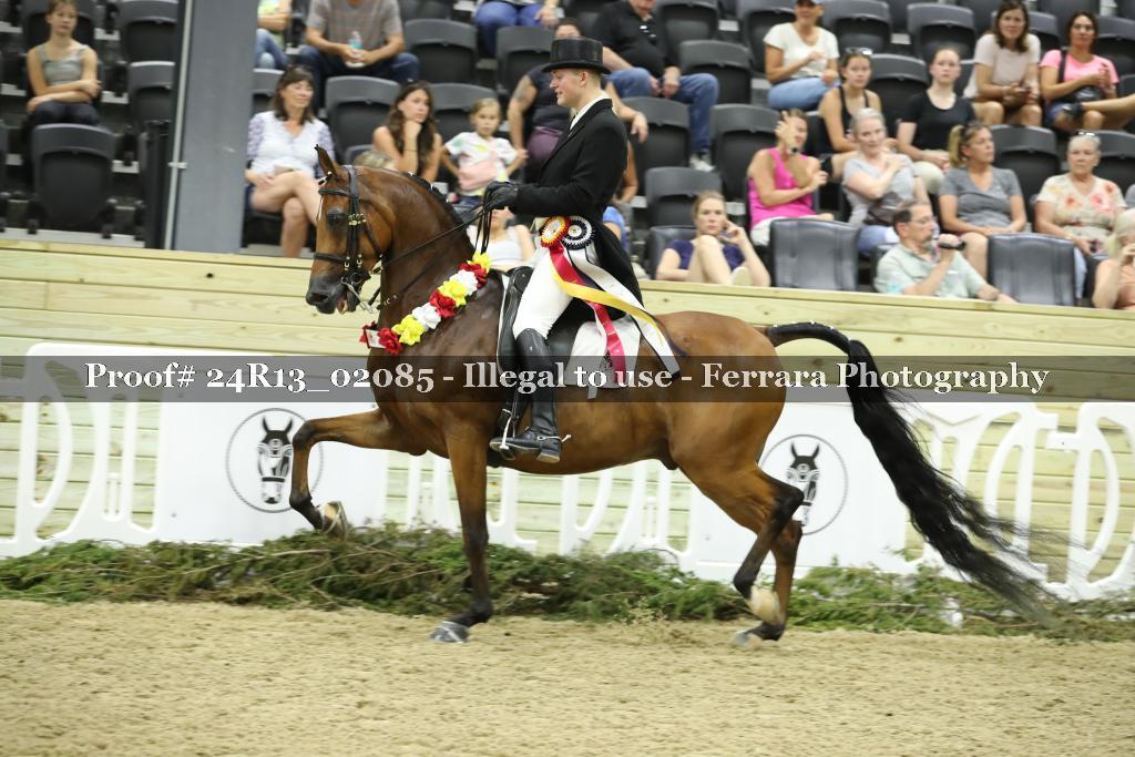 Proof 24R13_02085