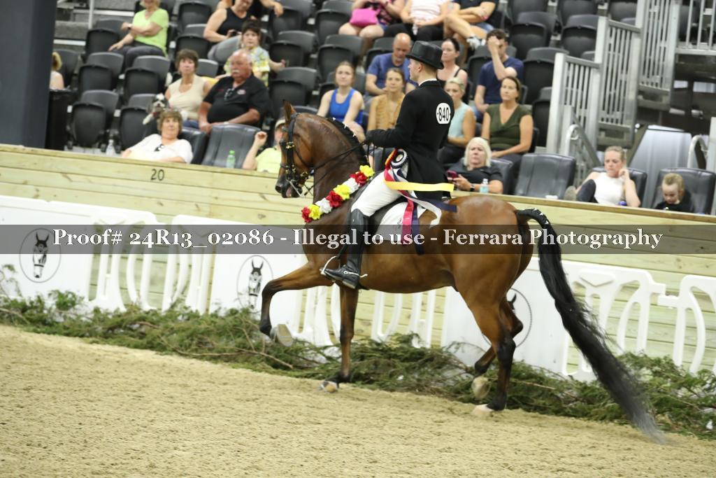 Proof 24R13_02086