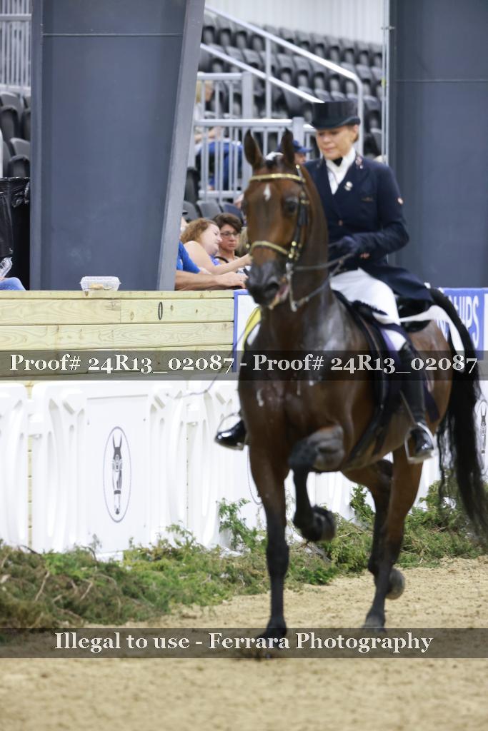 Proof 24R13_02087
