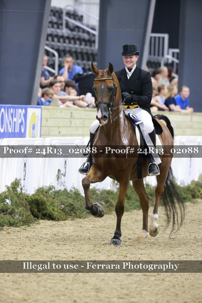 Proof 24R13_02088