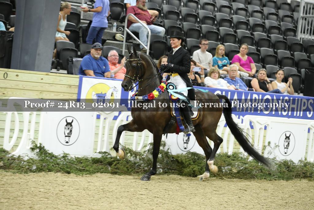 Proof 24R13_02091