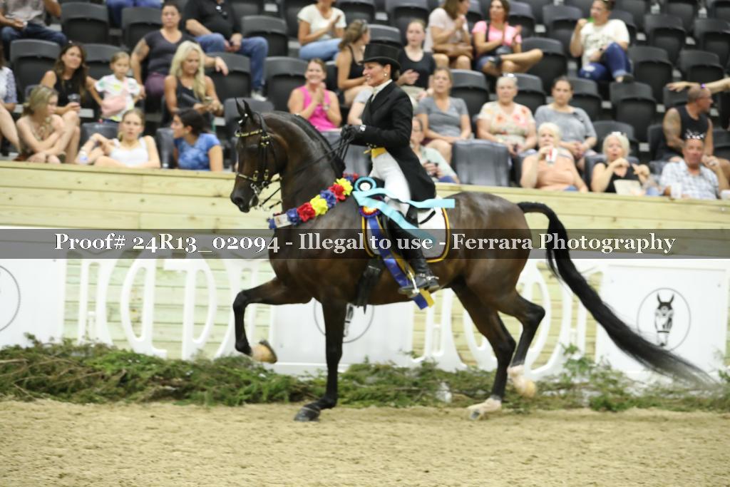 Proof 24R13_02094