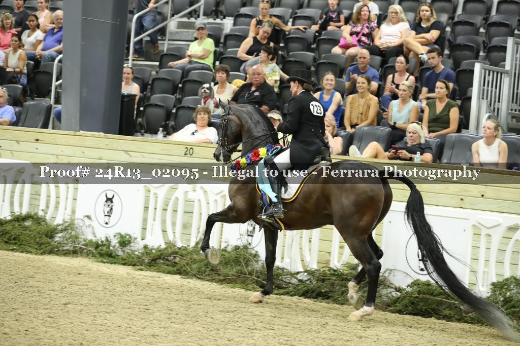 Proof 24R13_02095