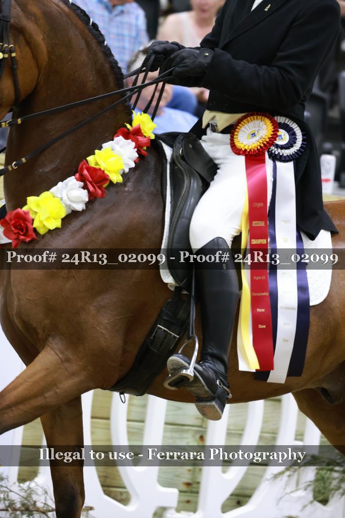 Proof 24R13_02099