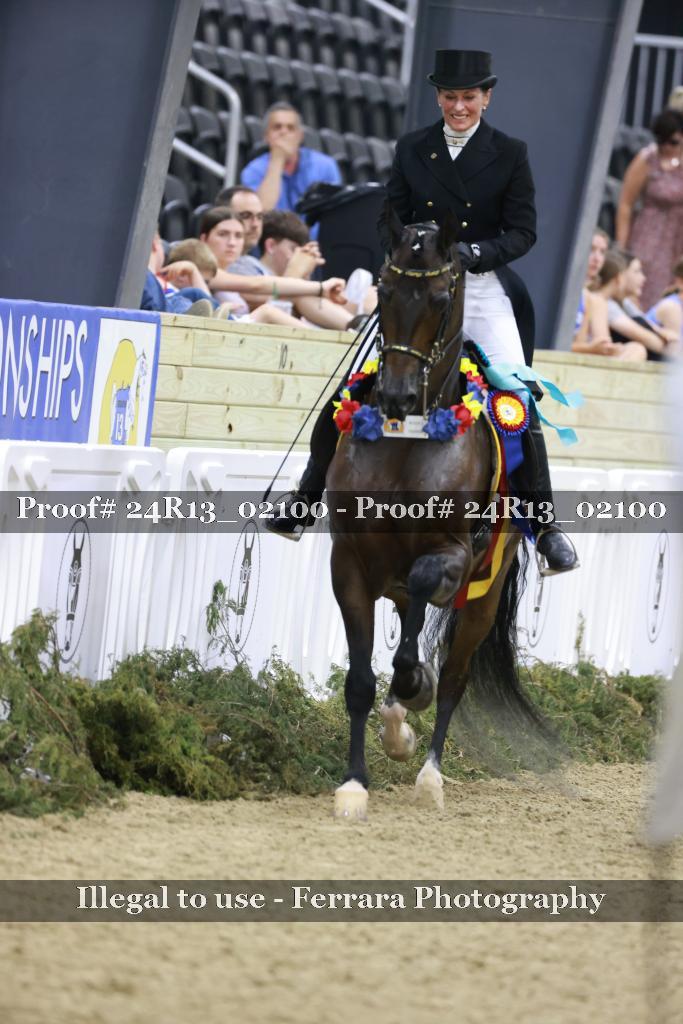 Proof 24R13_02100