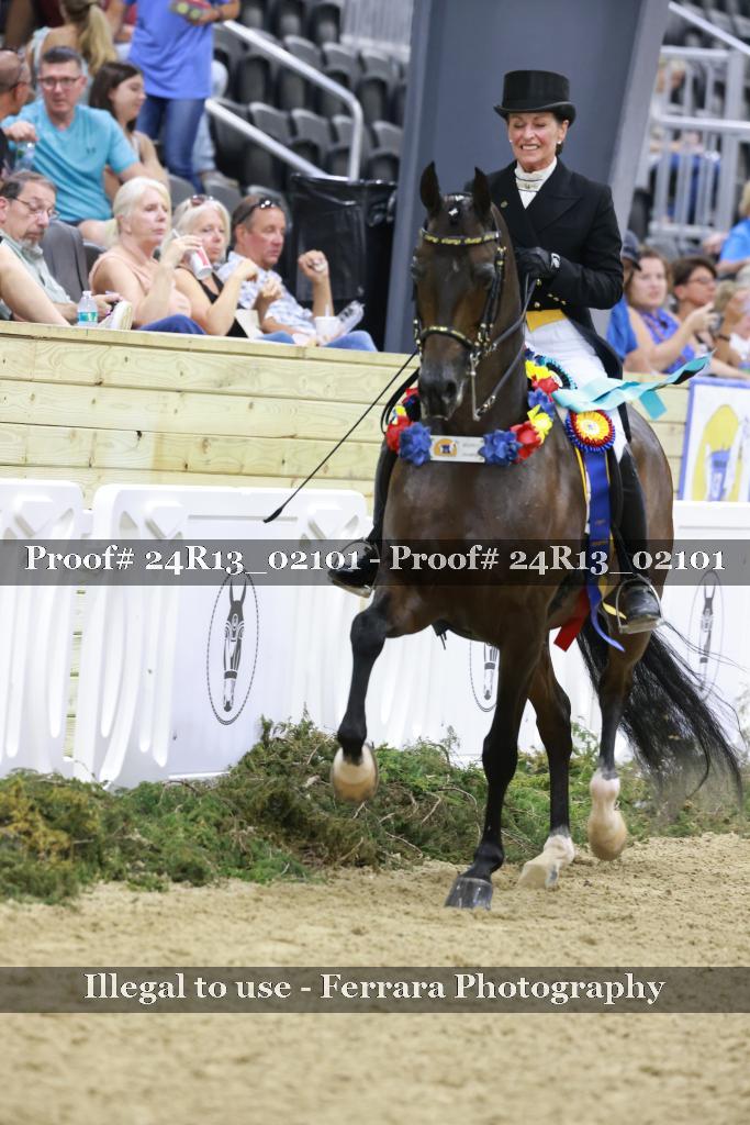 Proof 24R13_02101