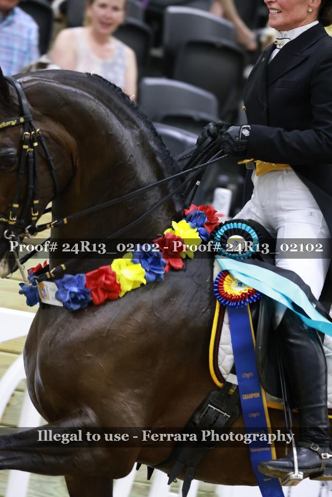 Proof 24R13_02102