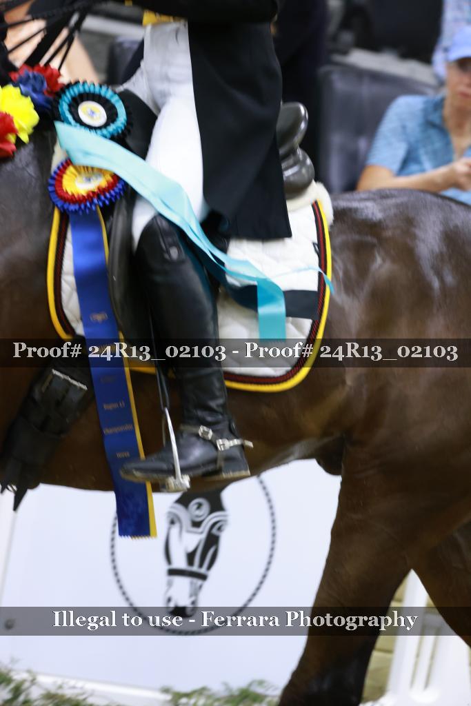 Proof 24R13_02103