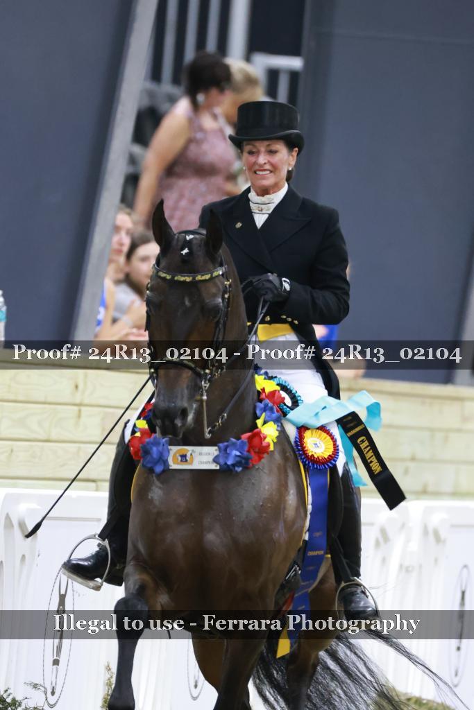 Proof 24R13_02104