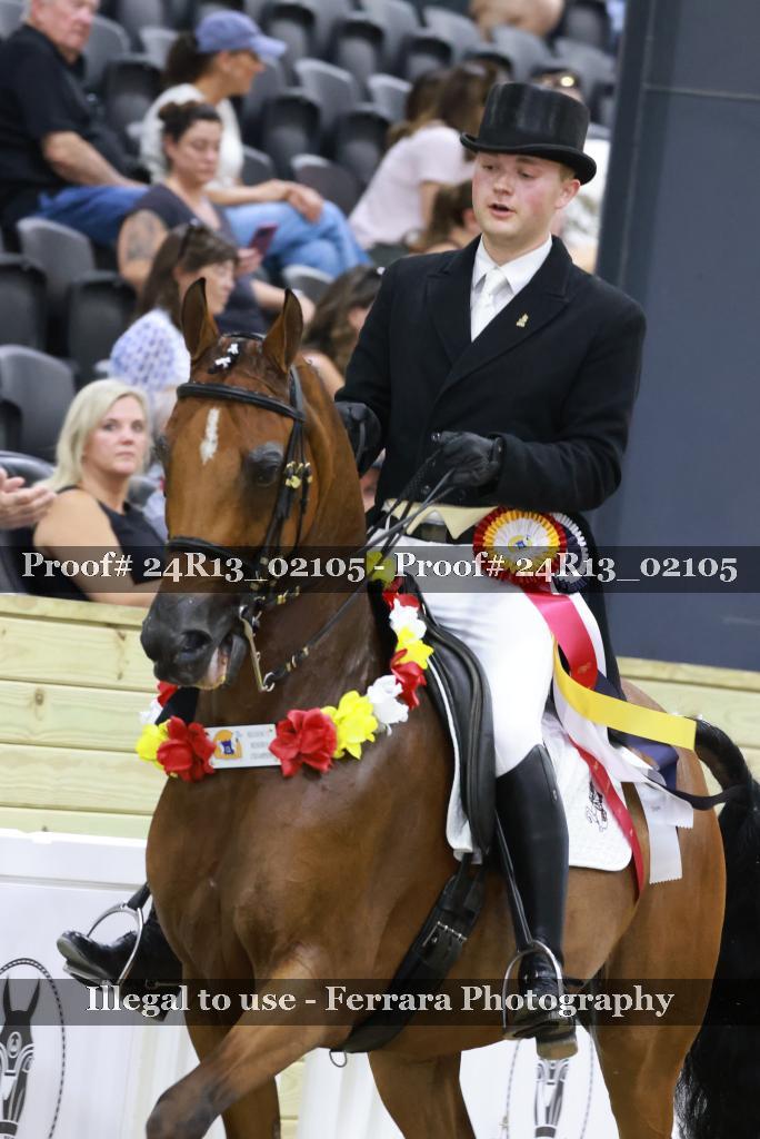 Proof 24R13_02105