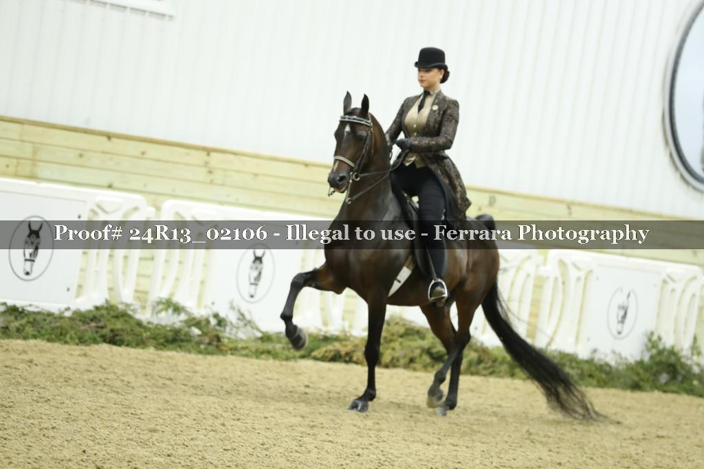 Proof 24R13_02106