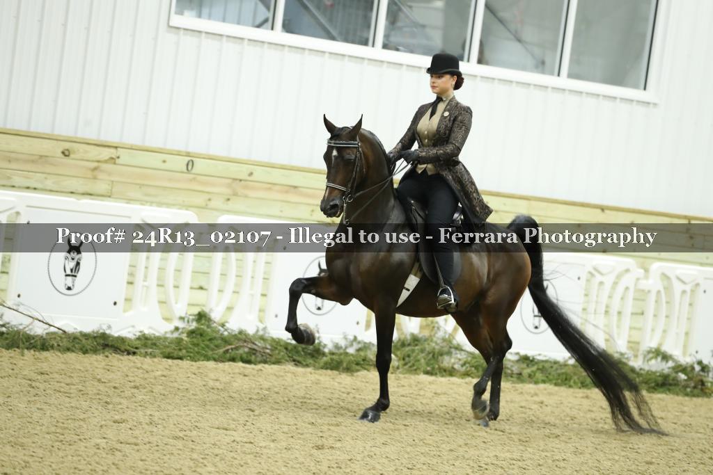 Proof 24R13_02107