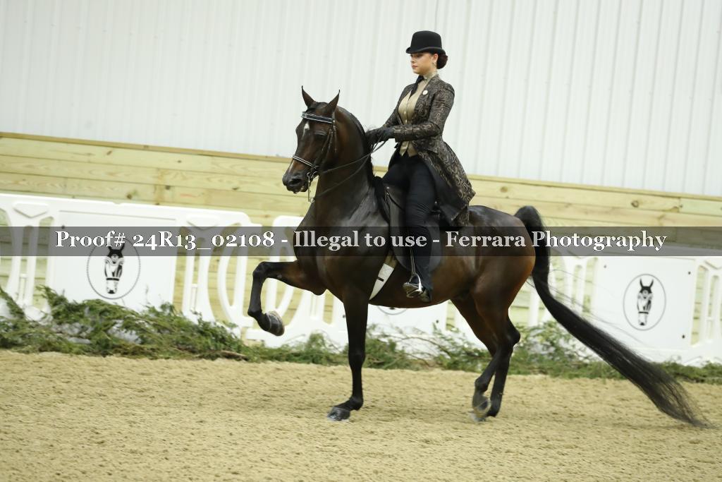 Proof 24R13_02108