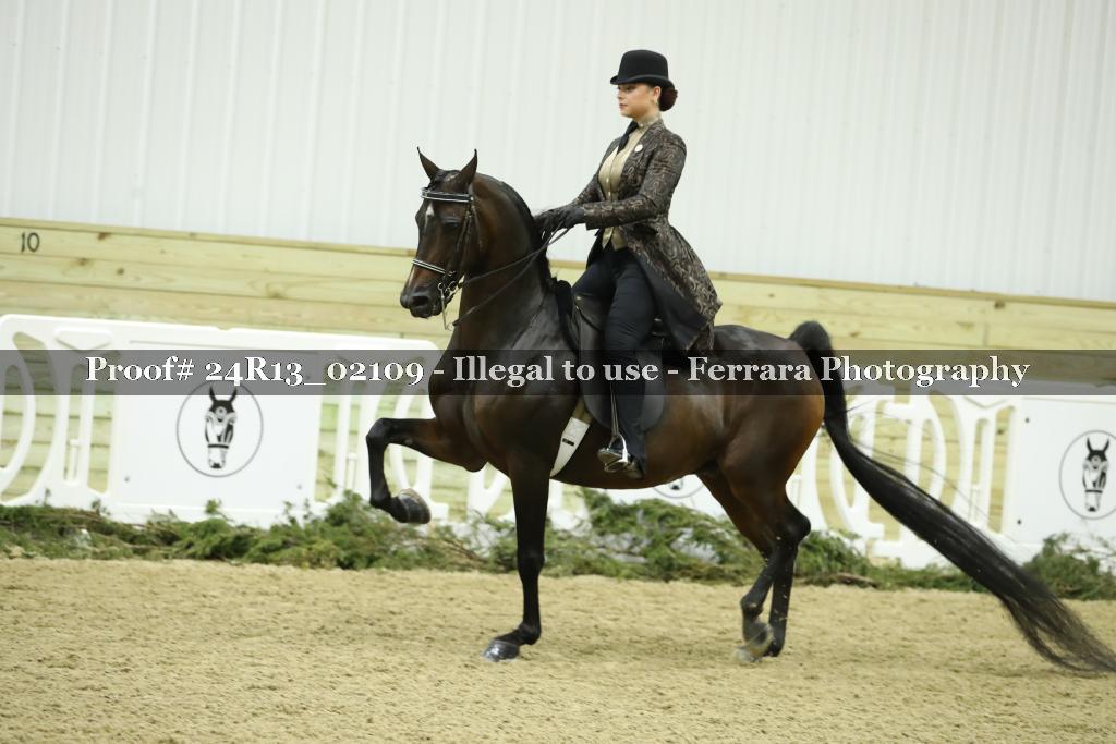 Proof 24R13_02109