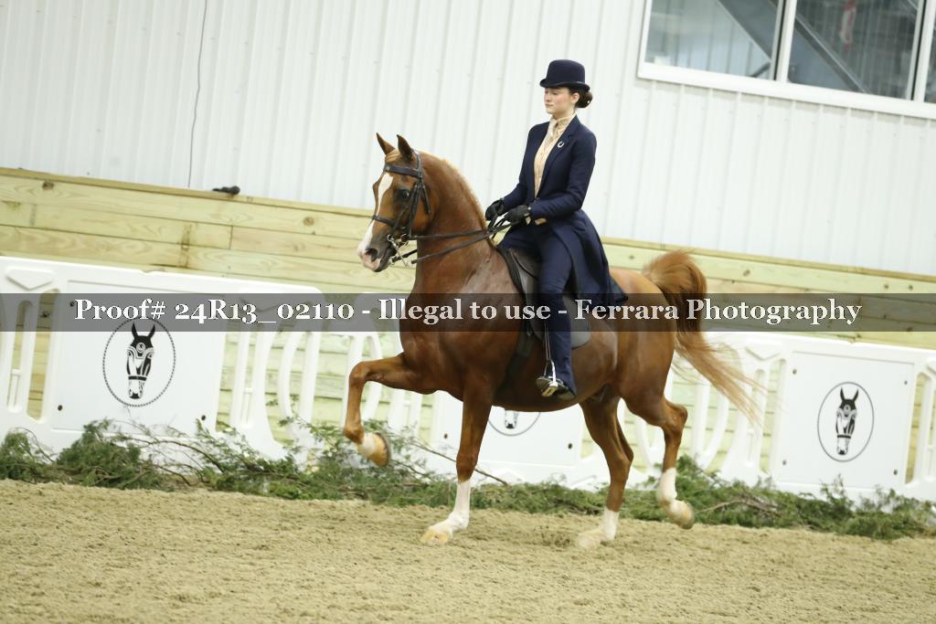 Proof 24R13_02110