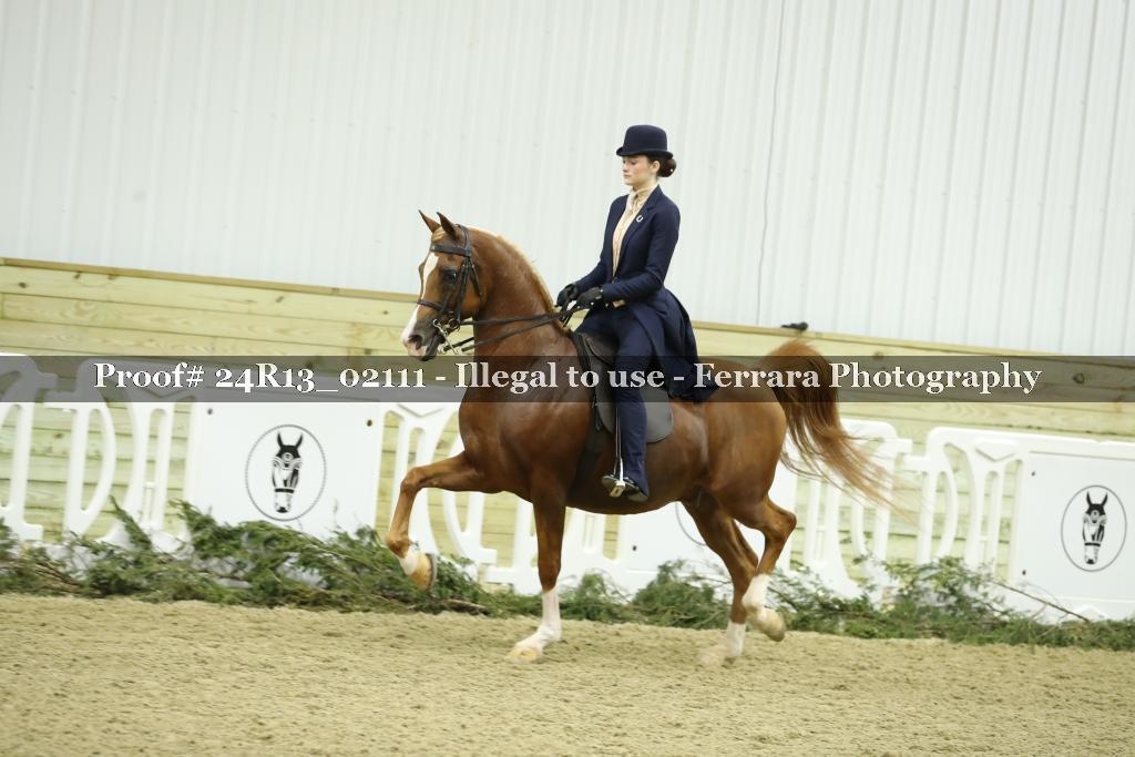 Proof 24R13_02111