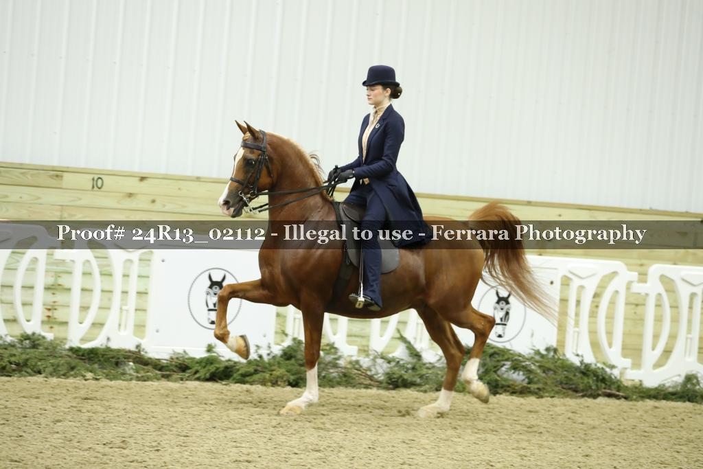 Proof 24R13_02112