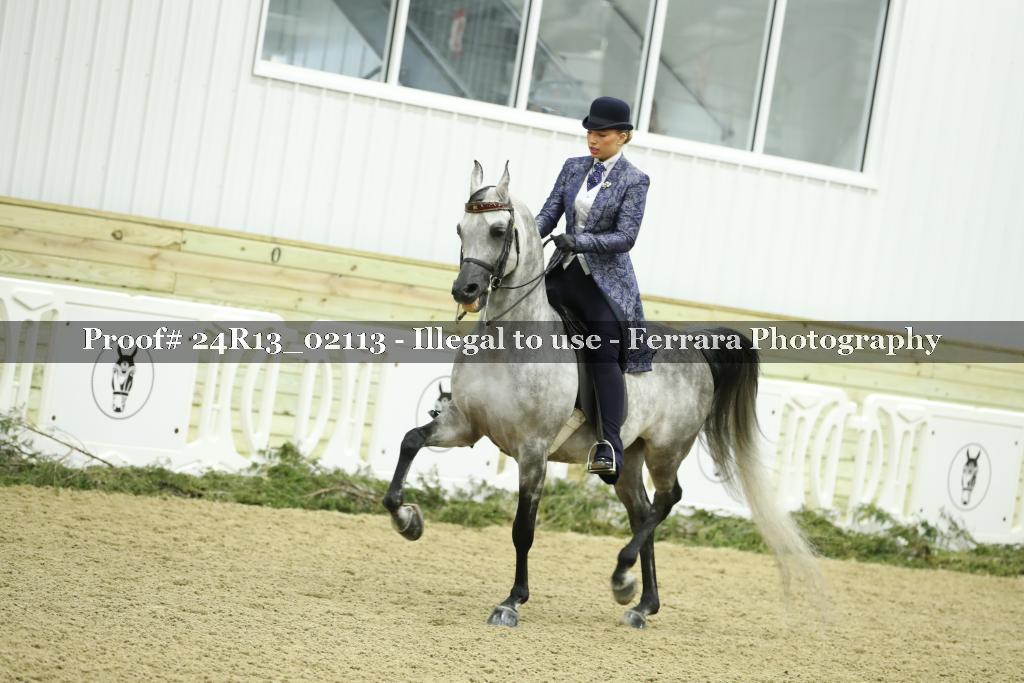 Proof 24R13_02113