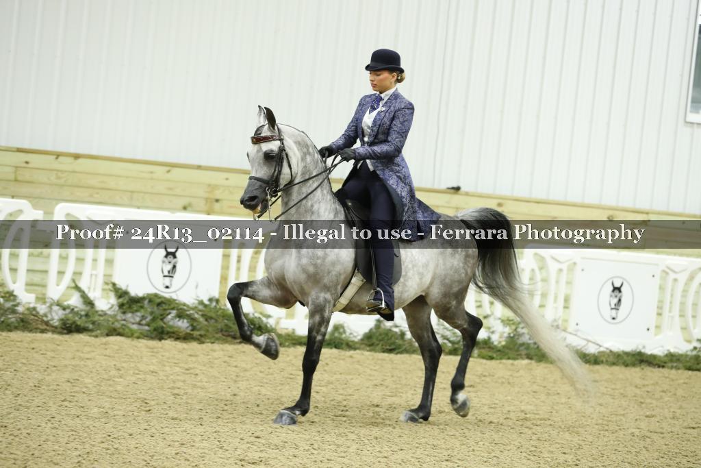 Proof 24R13_02114