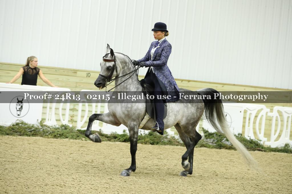 Proof 24R13_02115