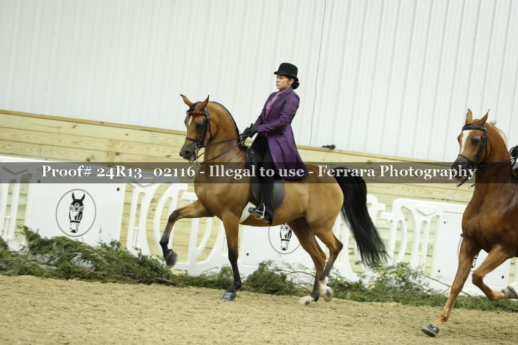 Proof 24R13_02116
