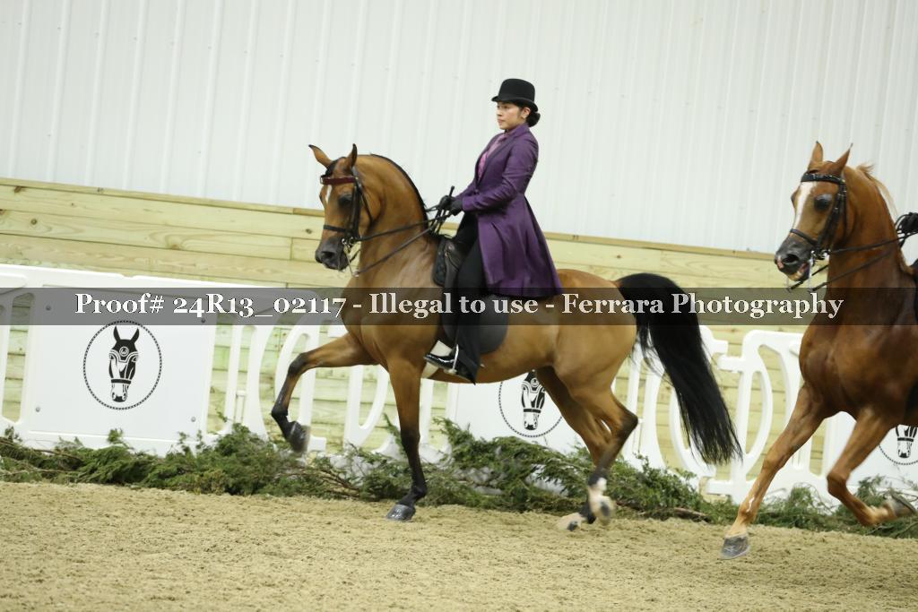 Proof 24R13_02117