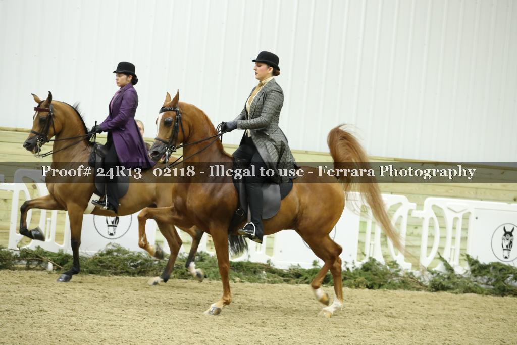 Proof 24R13_02118
