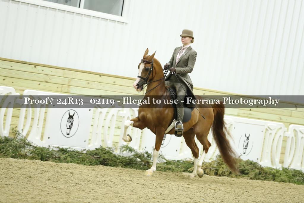 Proof 24R13_02119