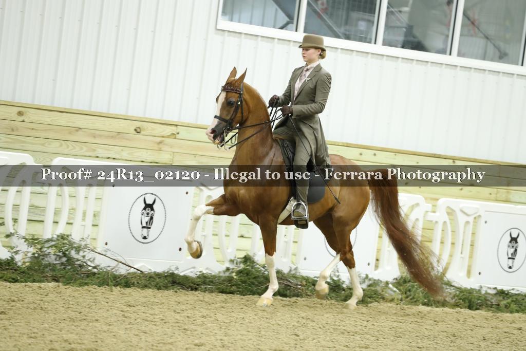 Proof 24R13_02120