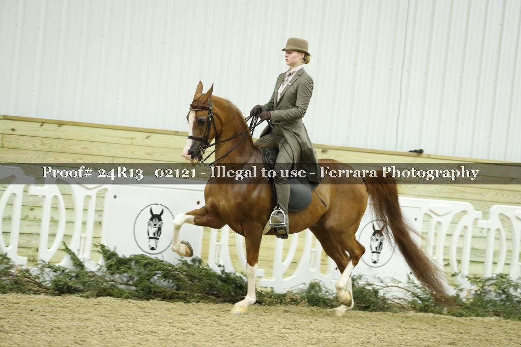 Proof 24R13_02121