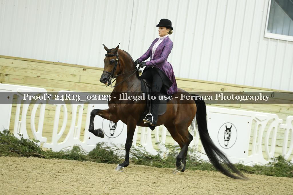 Proof 24R13_02123