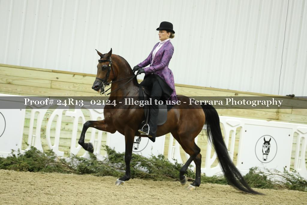 Proof 24R13_02124