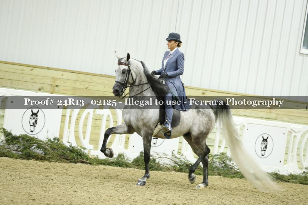 Proof 24R13_02125