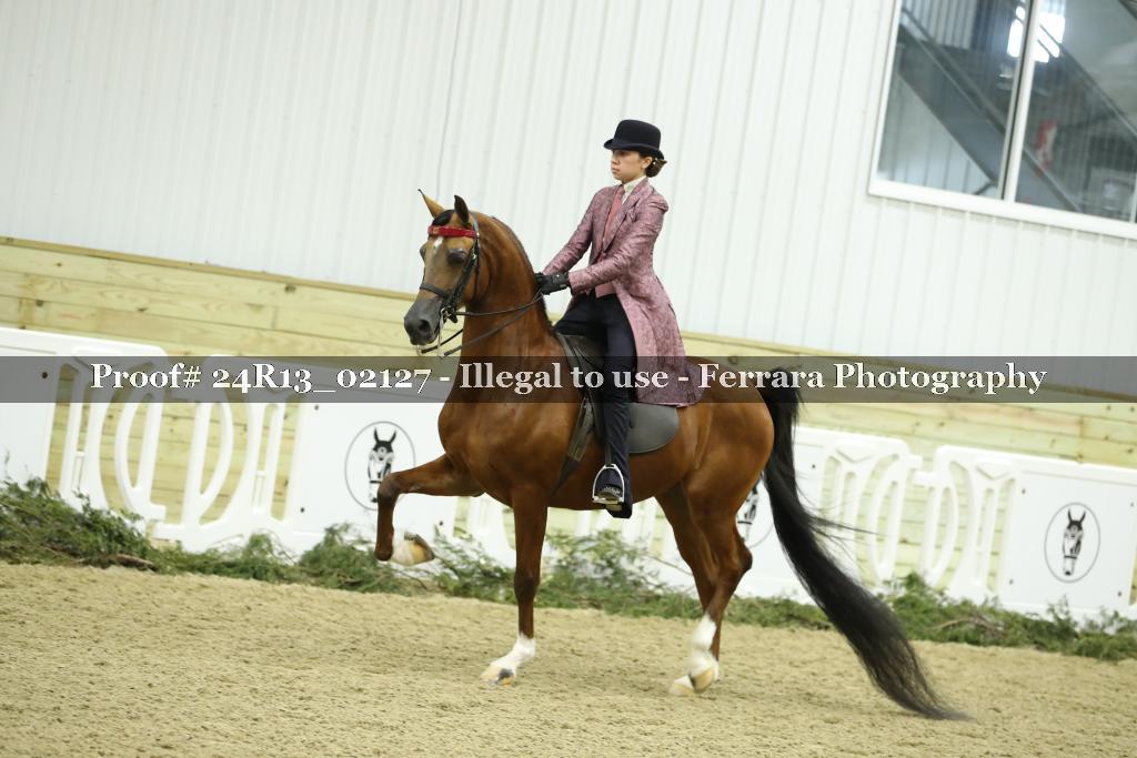 Proof 24R13_02127