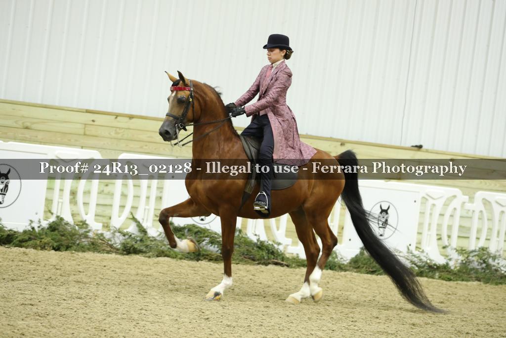 Proof 24R13_02128
