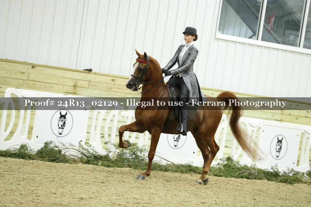 Proof 24R13_02129