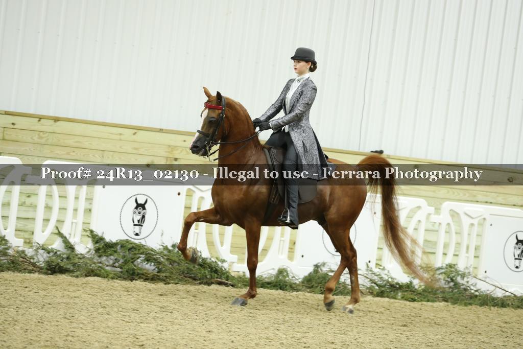 Proof 24R13_02130