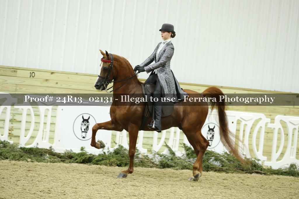 Proof 24R13_02131