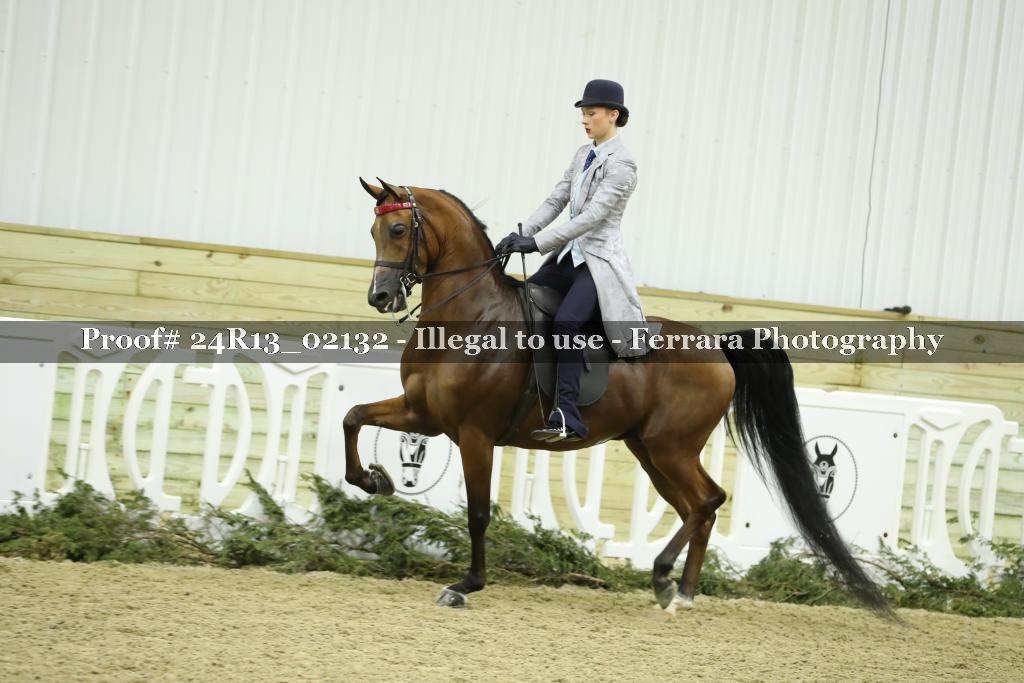 Proof 24R13_02132