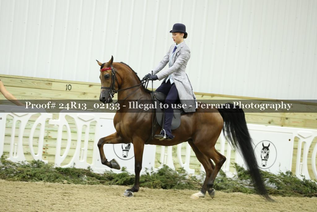 Proof 24R13_02133