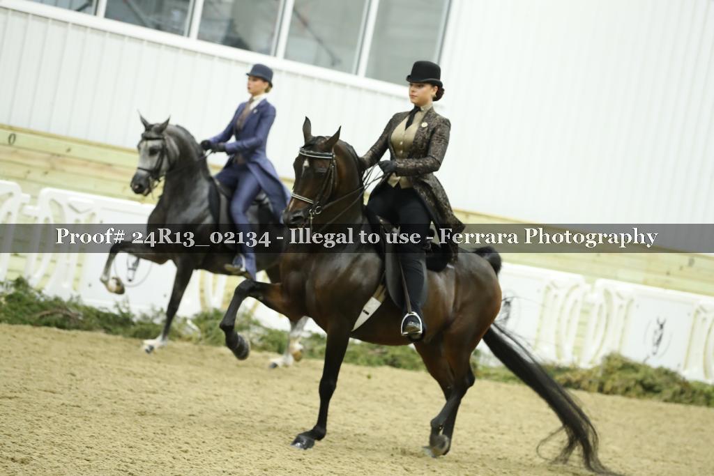Proof 24R13_02134