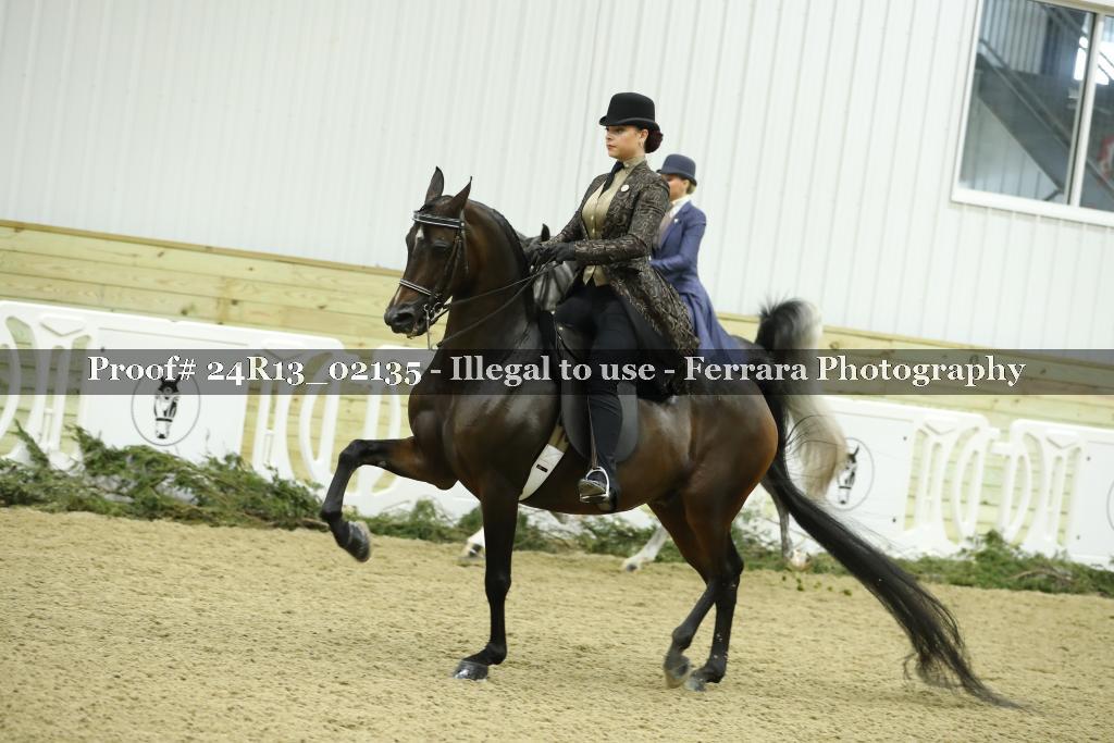 Proof 24R13_02135