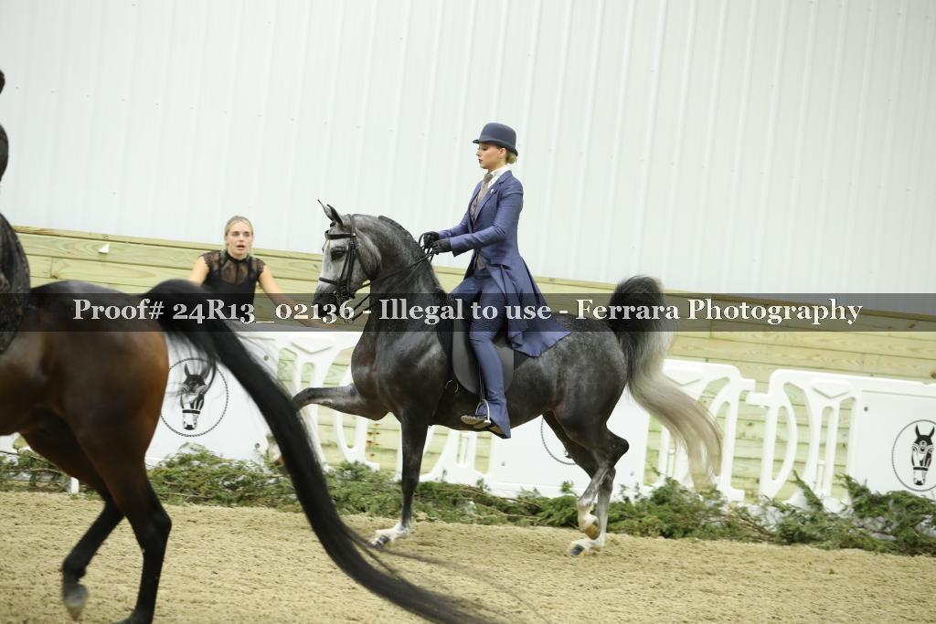 Proof 24R13_02136