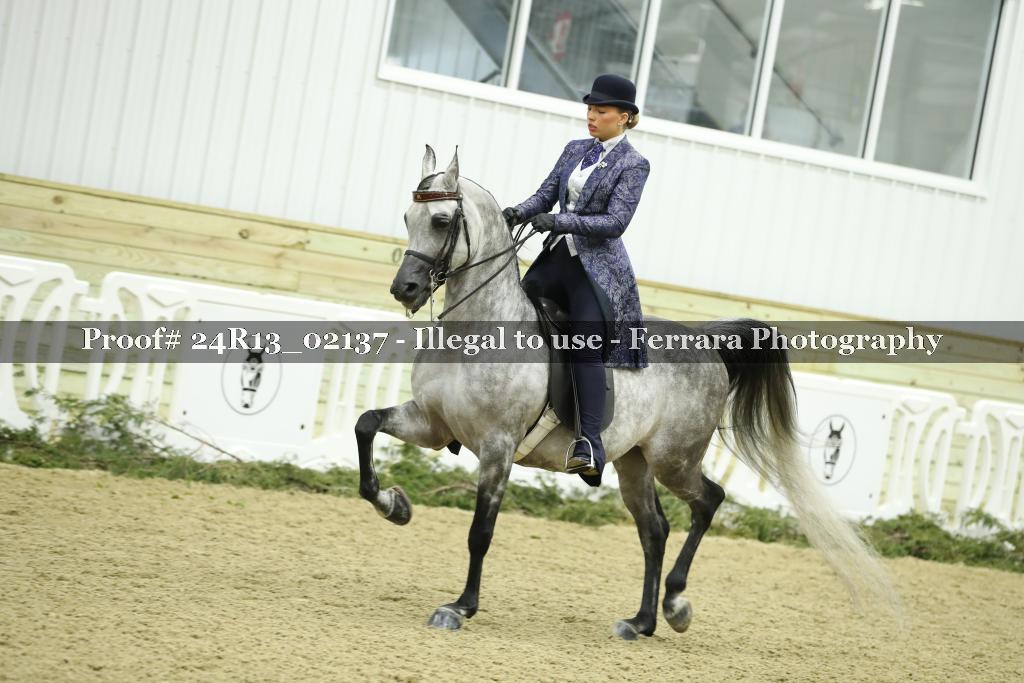 Proof 24R13_02137