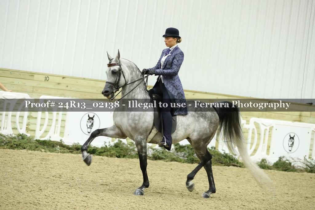 Proof 24R13_02138