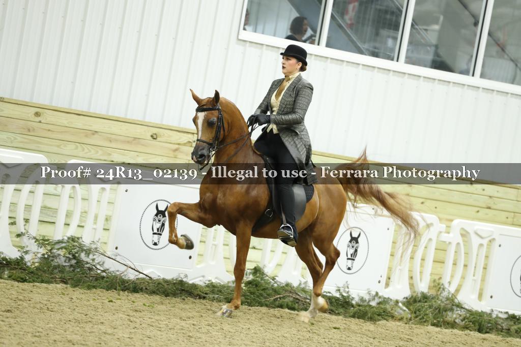 Proof 24R13_02139