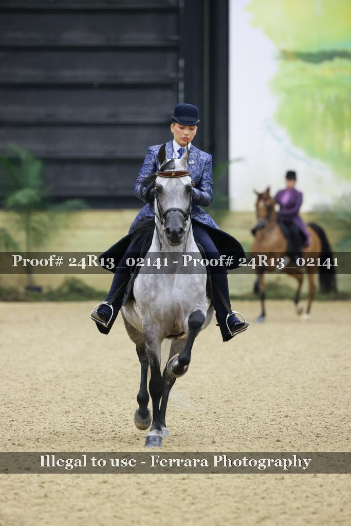 Proof 24R13_02141
