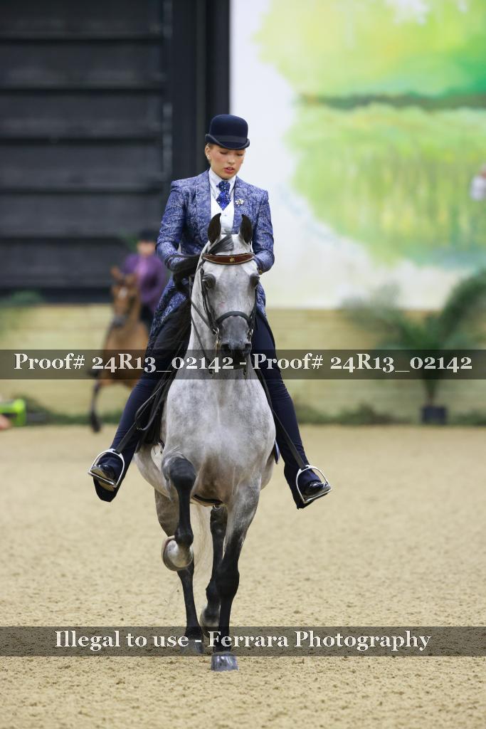 Proof 24R13_02142